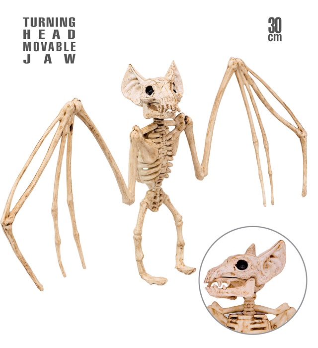 "SQULETTE CHAUVE - SOURIS" 30 cm