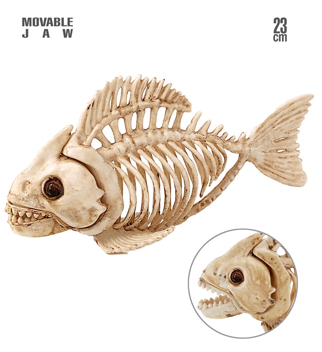 "SQUELETTE POISSON" 23 cm