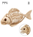 "SQUELETTE POISSON" 23 cm