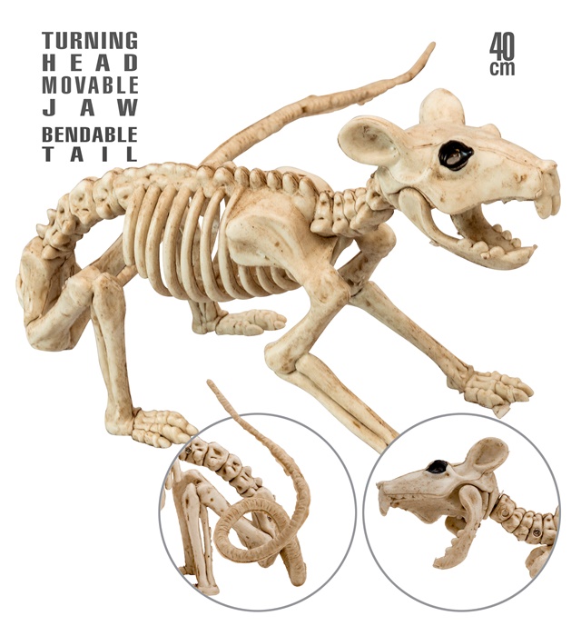 "SQUELETTE RAT" 40 cm