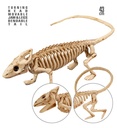 "SQUELETTE IGUANE" 43 cm