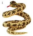 "SERPENT" 200 cm