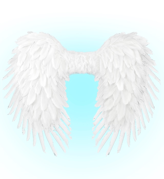 [21201] "AILES PLIABLES AVECPLUMES BLANCHES"  80X60 cm