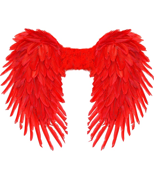 "AILES PLIABLES AVEC PLUMES ROUGES"  80X60 cm