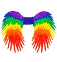 "AILES PLIABLES AVEC PLUMES ARC-EN-CIEL"  80X60 cm