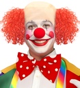 "COIFFE CLOWN DE LUXE AVEC CHEVEUXFRISES ROUGE"