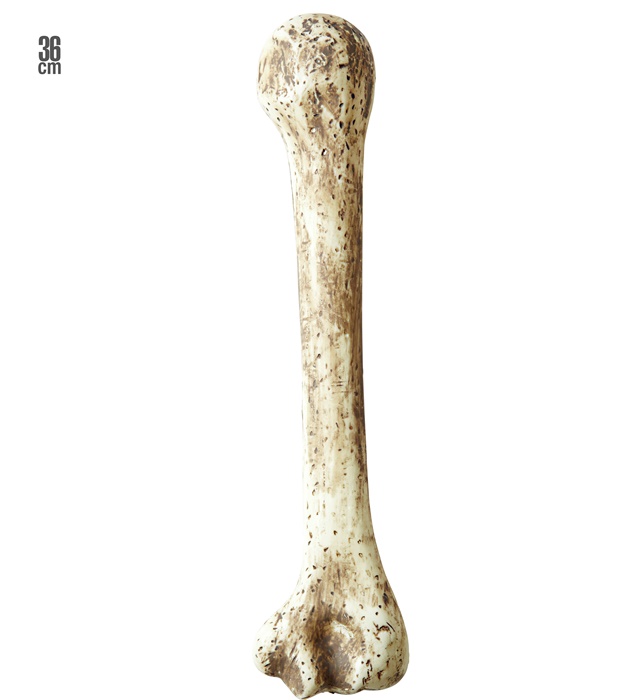 [2295T] "OS PREHISTORIQUE" 36 cm