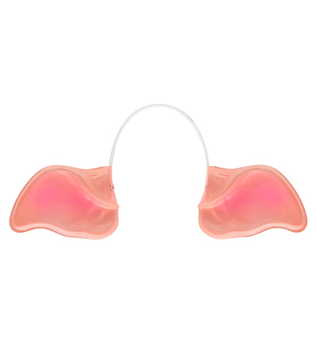 "OREILLES DE COCHON"