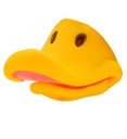 "NEZ DE CANARD"