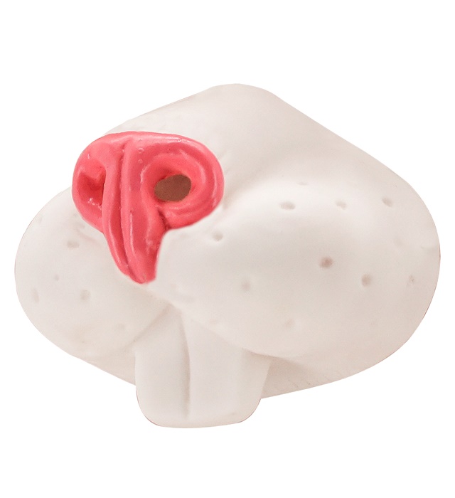 "NEZ DE LAPIN"