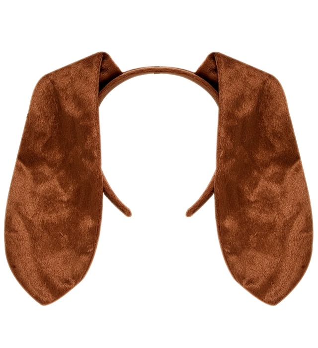 "LONGUES OREILLES DE CHIEN"