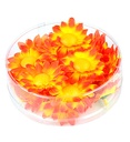 "BOITES 20 FLEURS DAISY DECORATIVES ORANGE/JAUNE"