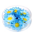 "BOITES 20 FLEURS DAISY DECORATIVES AZUR"