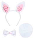 Set de "LAPIN" oreilles, noeud papillon, queue