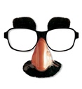 "LUNETTES AVEC NEZ, MOUSTACHE ET SOURCILS"