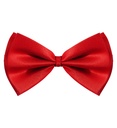 "NOEUD PAPILLON DE LUXE" rouge - ajustable