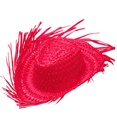 "CHAPEAU GRINGO DE PAILLE ROSE"
