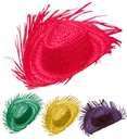 "CHAPEAU DE PAILLE GRINGO" 4 couleurs ass.