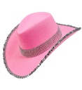 "CHAPEAU COWGIRL PARTY ROSE"