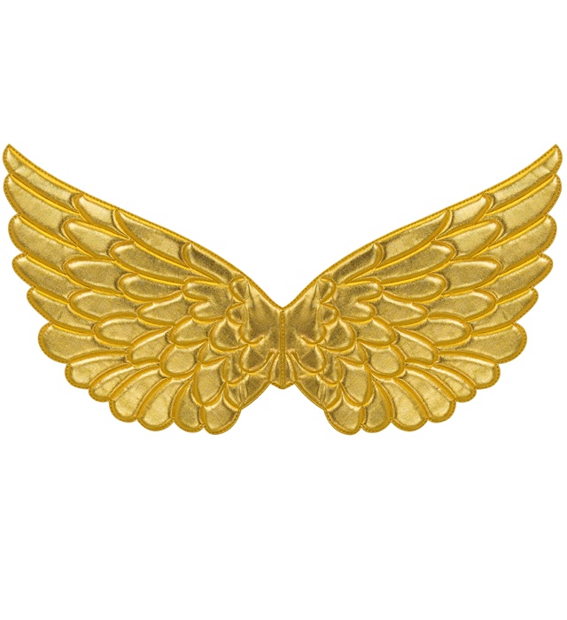 "AILES EN TISSU OR  57x26 cm"