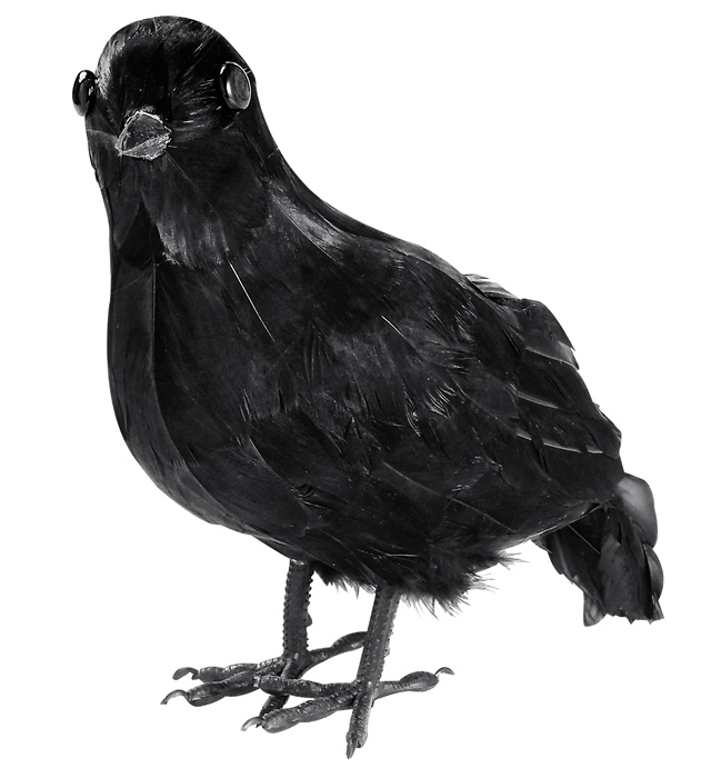 [3063C] "CORBEAU EN PLUMES" 27 cm
