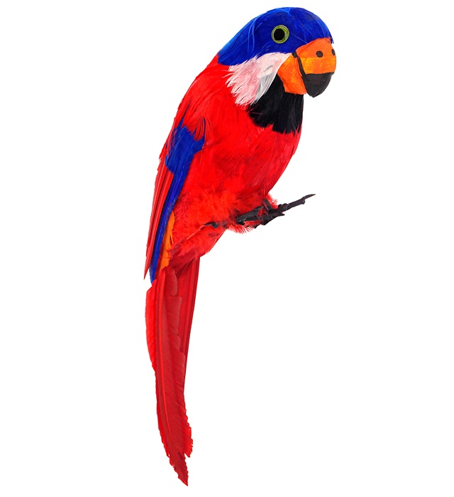 [30741] "PERROQUET A PLUMES ROUGE" 40 cm